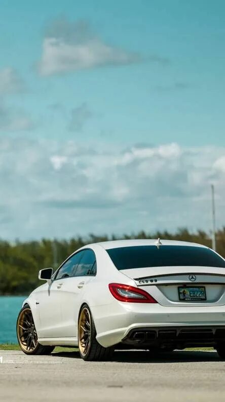 Mercedes Benz Cls 63 Amg задние регулируемые опускаются ссылки 2011/2018 и E63AM