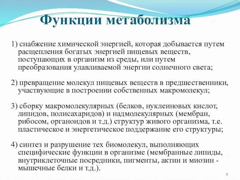 Функцию обмена информацией выполняет. Функции метаболизма. функции метаболизма биохимия. основные функции метаболизма. основные функции обмена веществ.