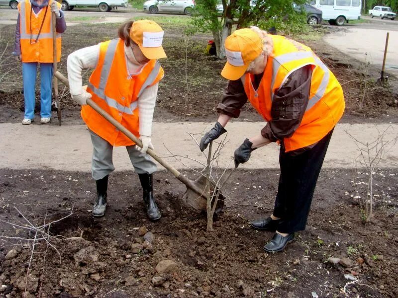 Выполнение бесплатных общественно полезных работ. Общественные работы. принудительные общественные работы. оплачиваемые общественные работы. общественно исправительные работы.