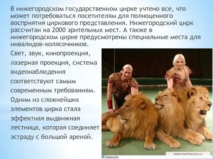 Рассказ про цирк 4 класс