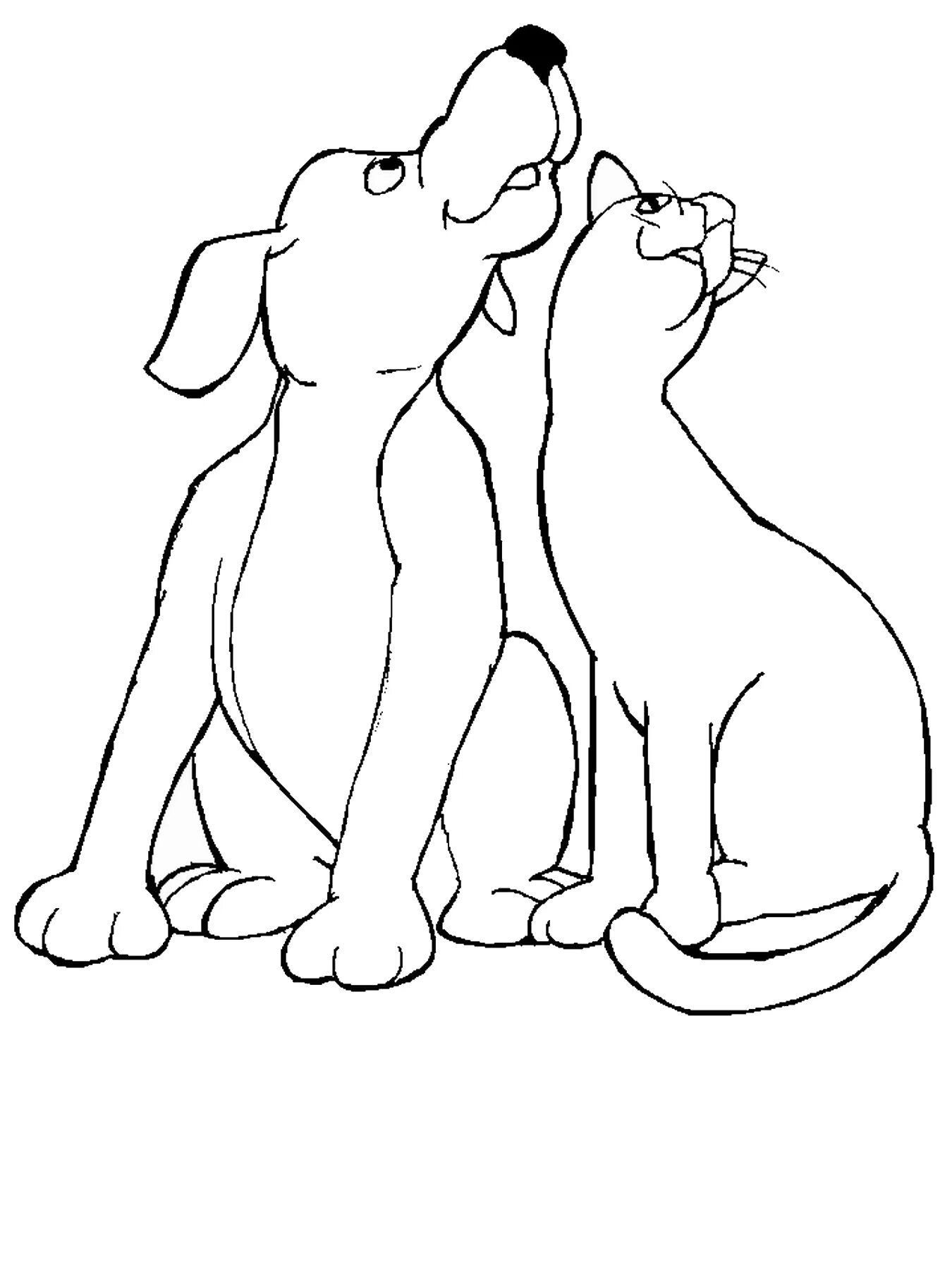 Кошечки собачки рисовать. Раскраска кошечки собачки. Раскраска кошка и собачка. Кошка и собака рисунок. Раскраска котик и щенок.