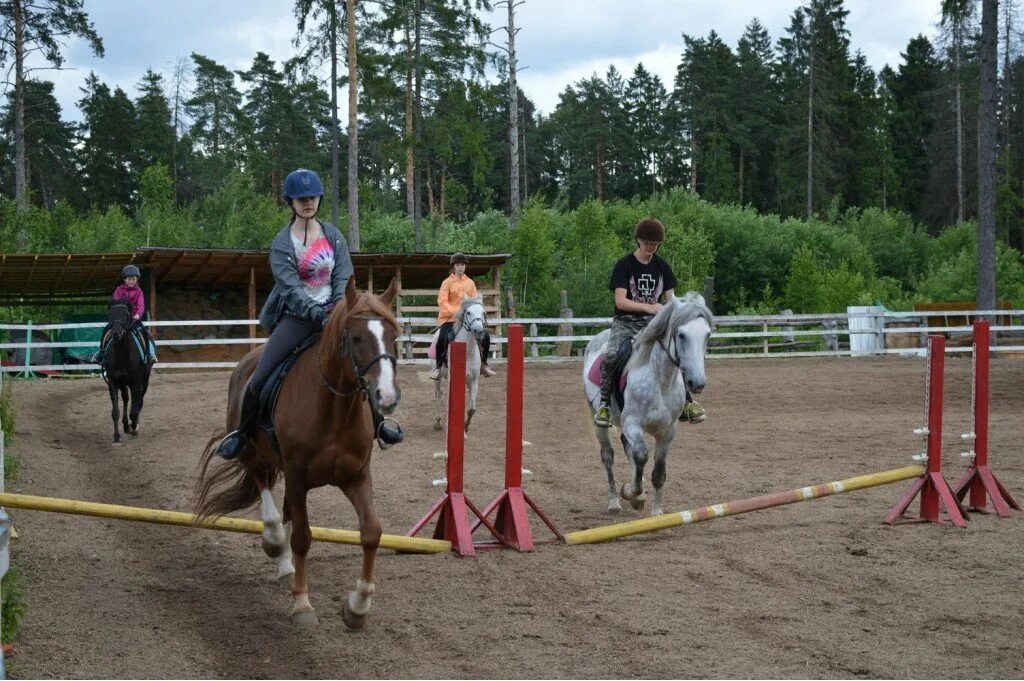 Riding camp. Конный лагерь. Конный летний лагерь. Конный летний лагерь для детей в Москве. Лагерь с лошадьми.