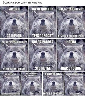 Знает толк в жизни
