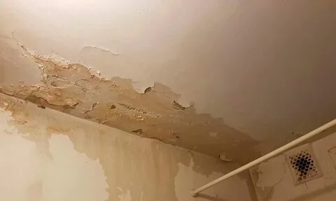 Можно ли восстановить дом после затопления