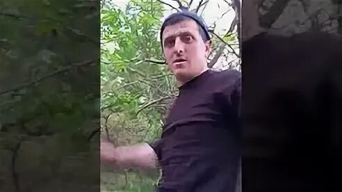 На неделю в дарваге