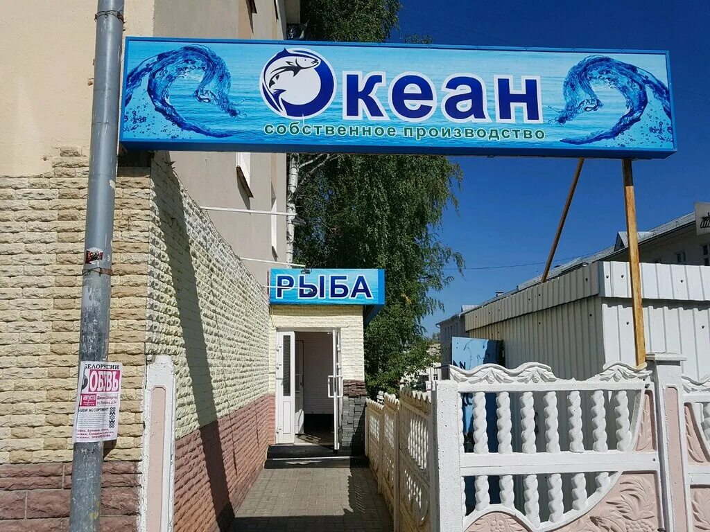 Океан магазин рыбы. Рыба в магазине океан в Саранске. Магазин океан Саранск. Рыбный магазин вывеска. Магазин океан вывеска.
