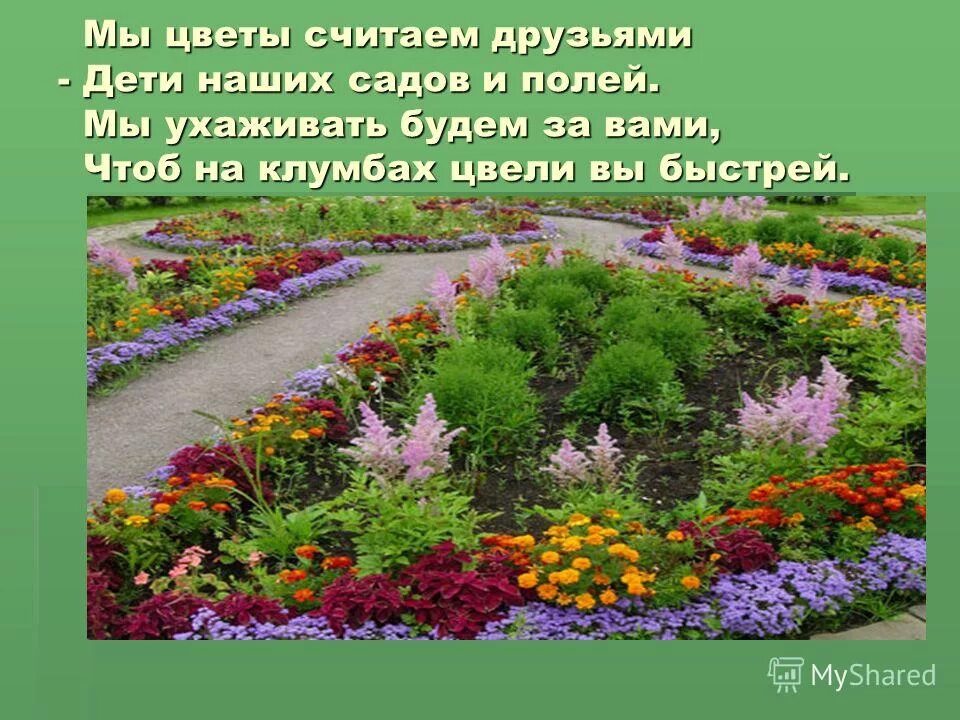 Он приятно для глаз пестреет своими садами. Цветники и клумбы в детском саду. Цветочные клумбы в детском саду. Клумбы на пришкольном участке. Стихи про цветы на клумбе.