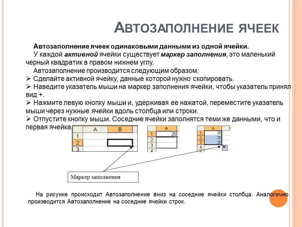 Как информация может храниться в ячейках