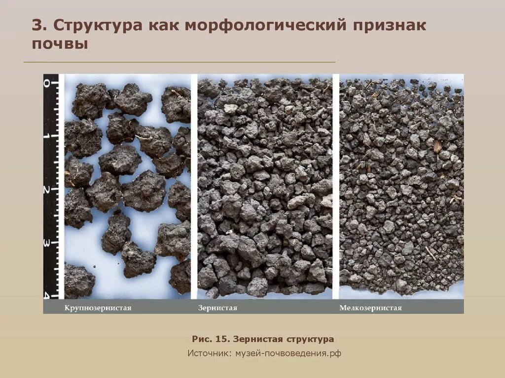 Какая бывает структура почвы. Комковато-зернистая структура почвы. комковатая структура почвы. глыбистая структура почвы. ореховатая структура почвы.