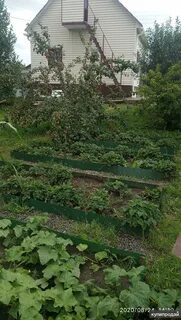 Дача ст пугачево красноярск