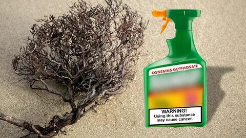Use warnings