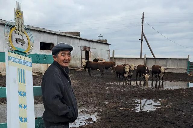 Авито верхний карачан. Поселок димитровский оренбургская область. Погода димитровский оренбургская область. Село димитрово оренбургская область. Дома в краснохолме недорого с фото.