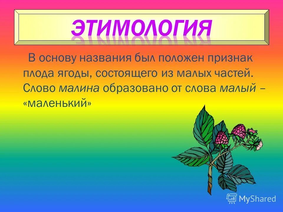 Цветет малина текст