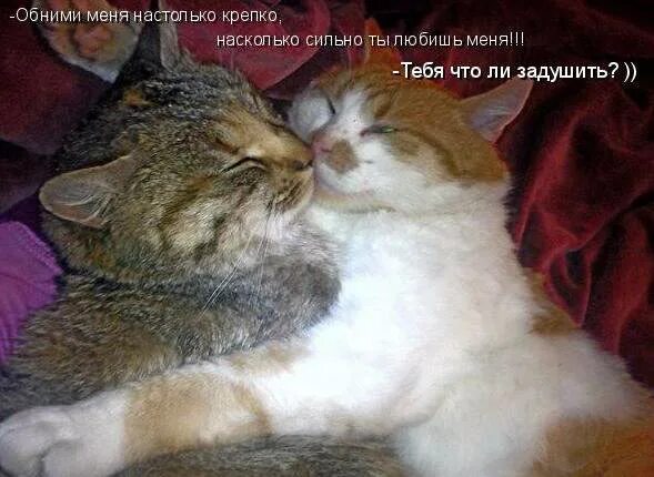Обнимаю сильно и крепко. Обнимаю крепко. обниму и зацелую. сильно обнимаю тебя. очень крепко обнимаю тебя.