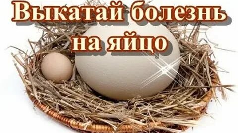 Заболело яйцо