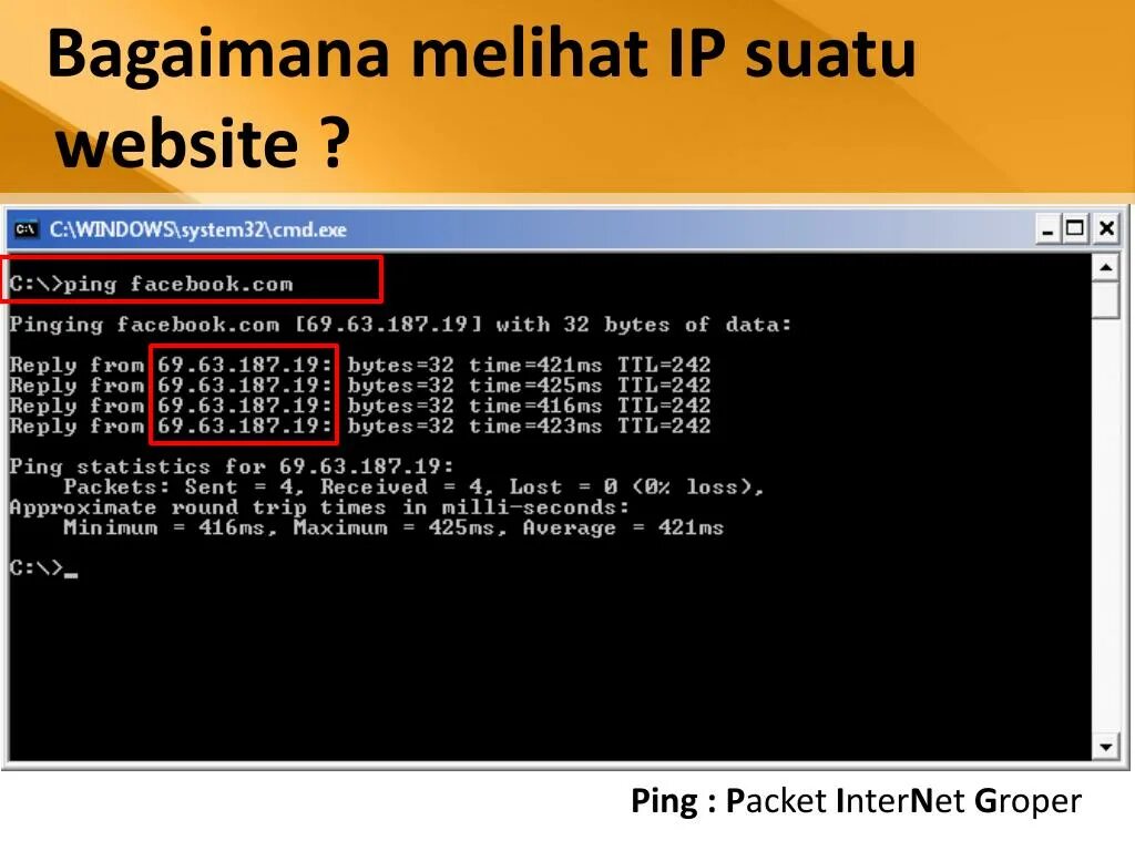 Ping packet