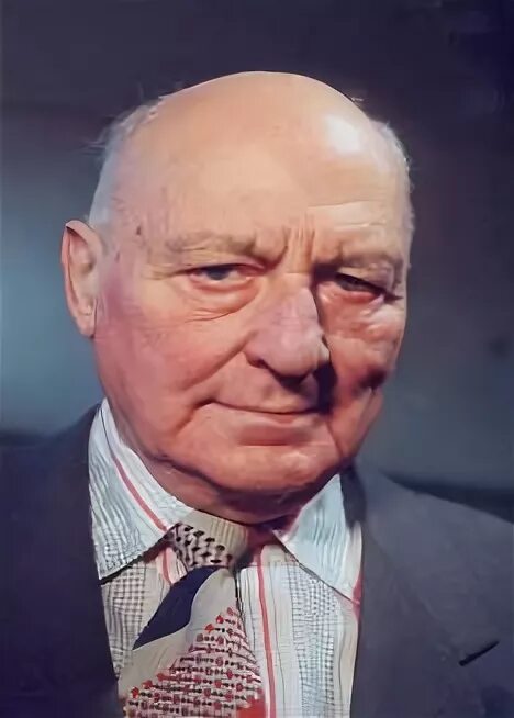 Д н альшиц. Историк альшиц. Историк альшиц. Дании́л ната́нович а́льшиц. Д н альшиц.