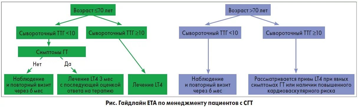 Гипотиреоз тесты с ответами. Субклинический гипотиреоз ТТГ. При субклиническом гипотиреозе ТТГ И т4. Гипотиреоз ТТГ т4. Гипотиреоз уровень ТТГ И т4.