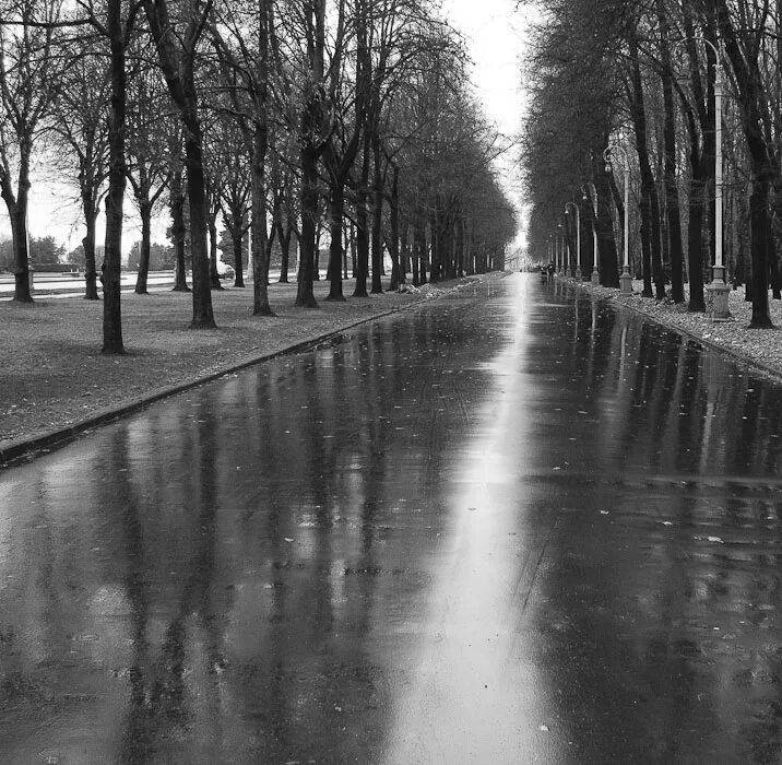 Хмурая осень в городе. Осень дождь грусть. Художник алексей сычёв картины осени. Осень дождь серость. Грустная осень.