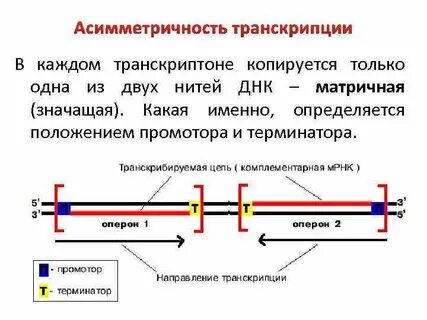 Определяется именно