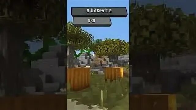 Текстур паки 1.16 фпс