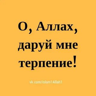 Дай мне терпения