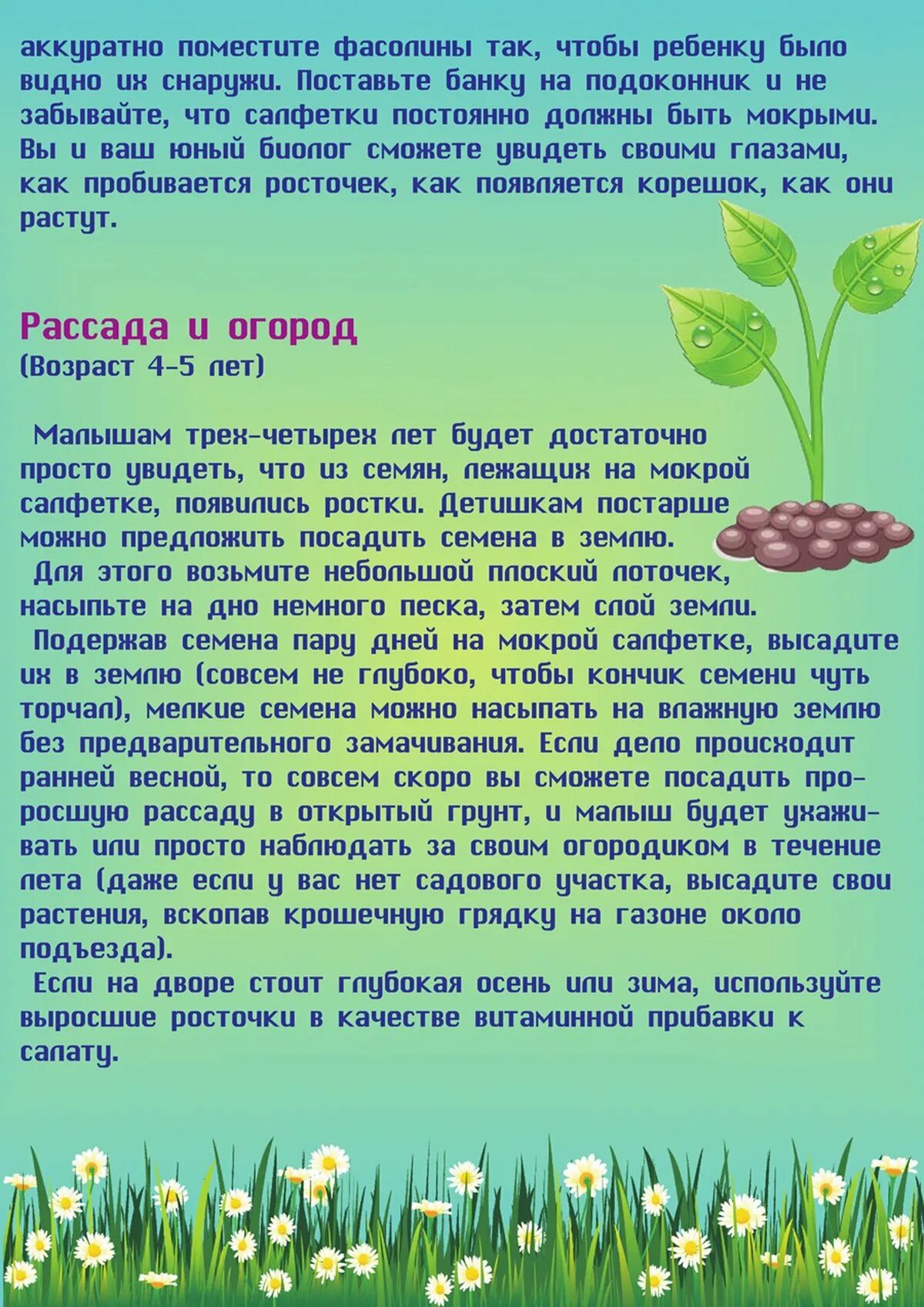 Консультации для родителей на тему огород на окне. Растения консультация для родителей. Консультация для родителей огород на окне. Консультация для родителей огород на подоконнике в детском саду. Консультация для родителей по теме огород на подоконнике.