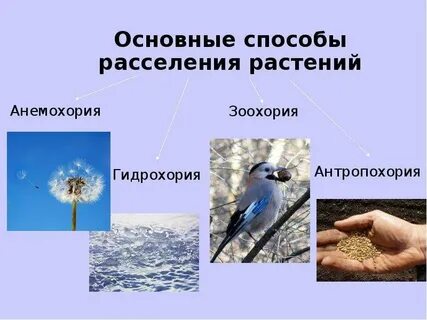Способы расселения человеком