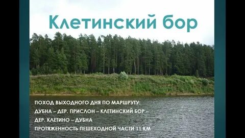 Бор происхождение названия