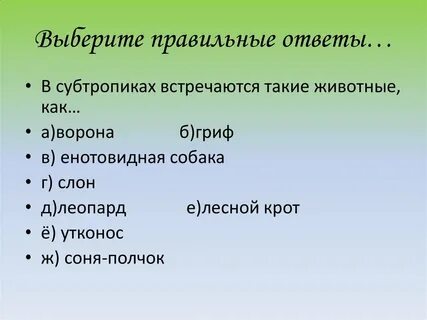 Презентация субтропики