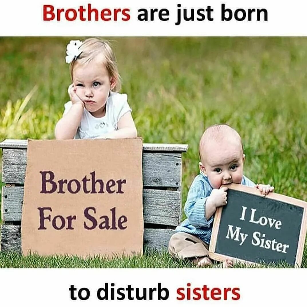 Siblings Day праздник. Sibling memes. Умный .sibling.. Siblings Day картинки.