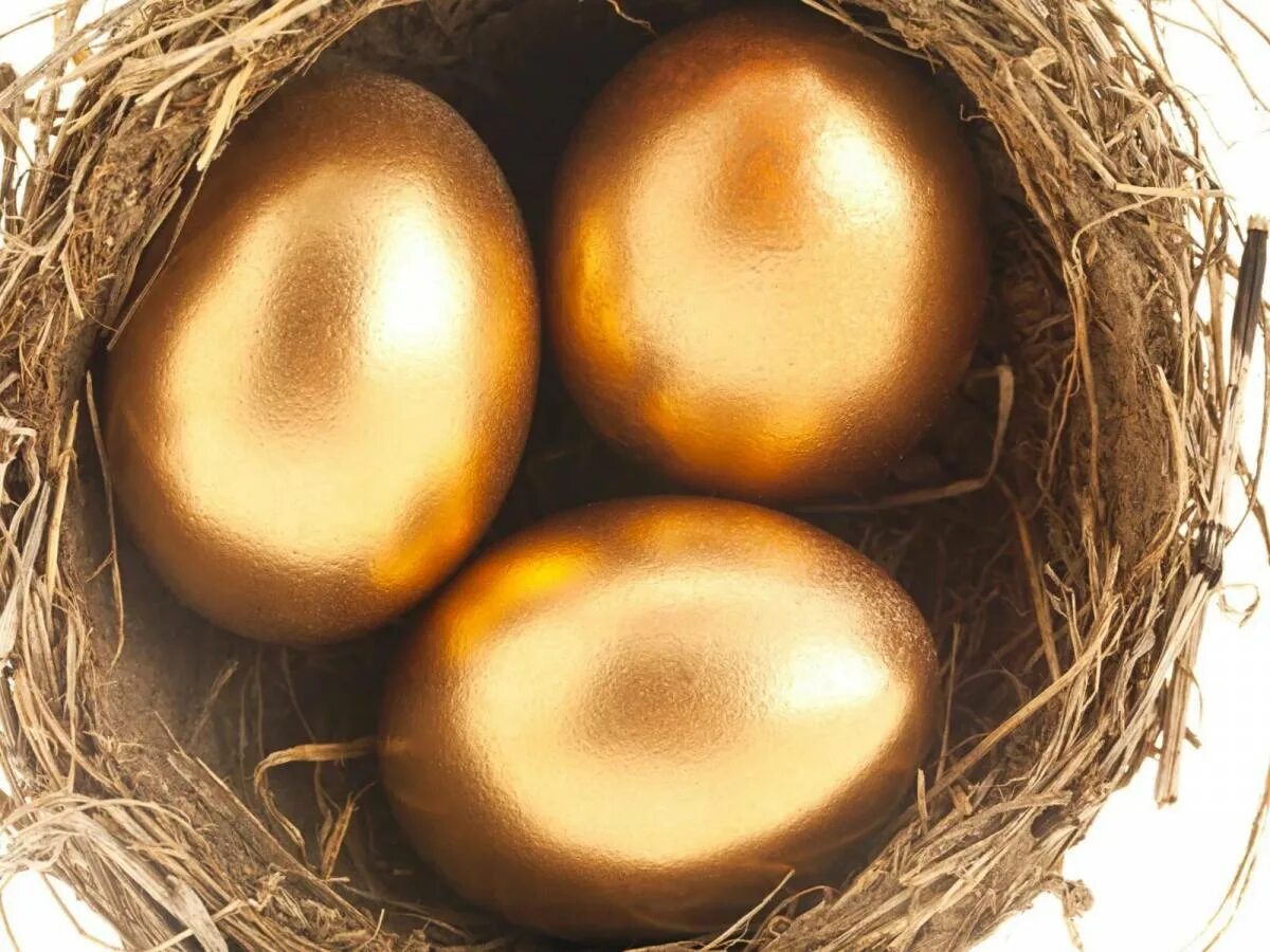 Золотое яйцо. Золотые яйцы. Яйцо куриное золотое. Золотые пасхальные яйца. Золотое яйцо питалось кровью