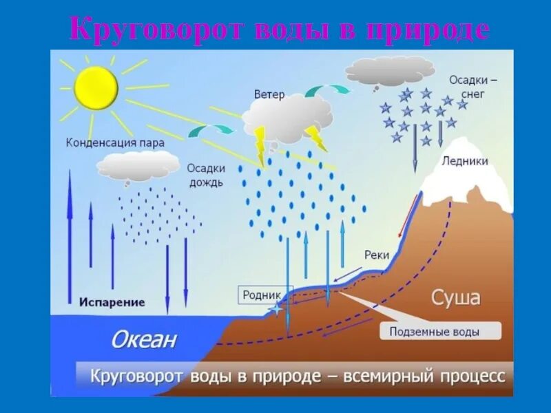 Какие явления зарождаются в гидросфере. Схема круговорота воды. Этапы круговорота воды. Этапы круговорота воды в природе. Тема круговорот воды.