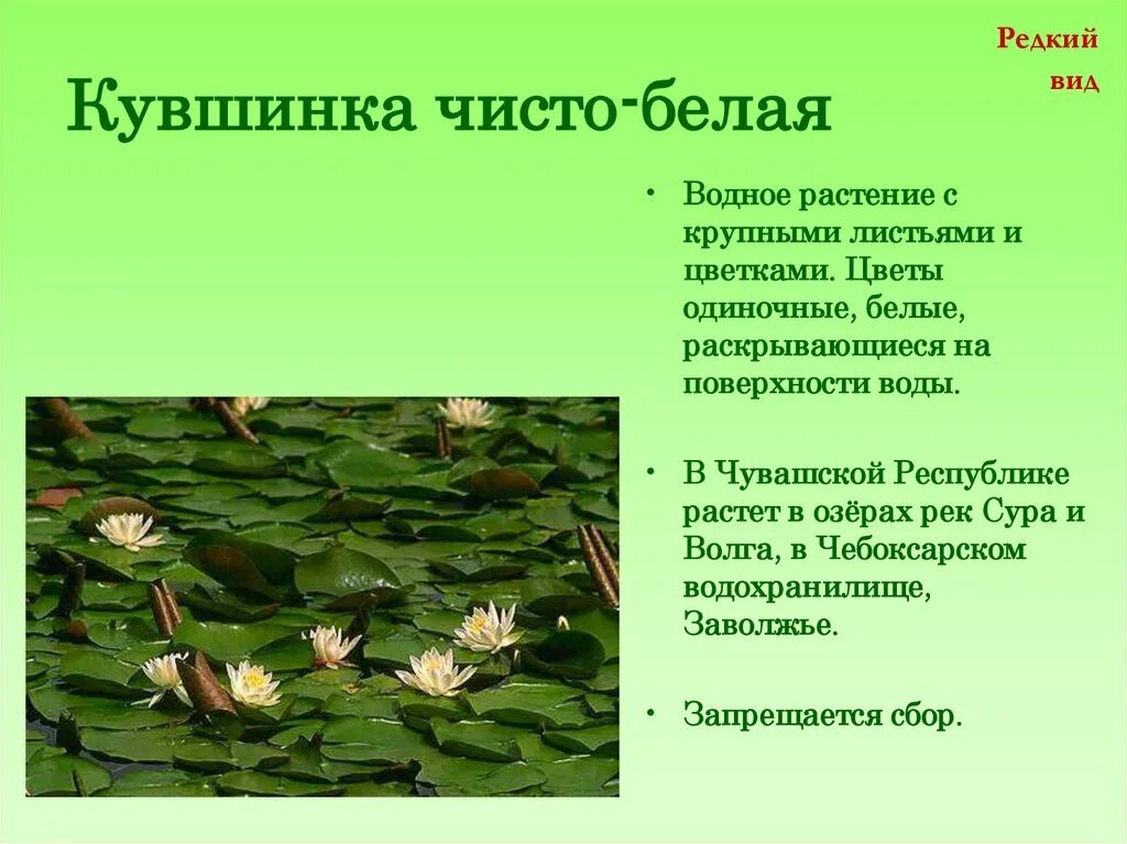 Сад содержащий коллекции охраняемых растений