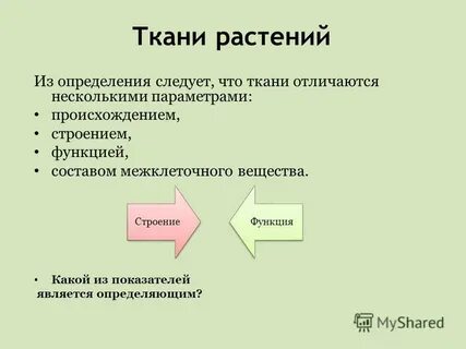 Какое строение могут иметь проводящие ткани биология