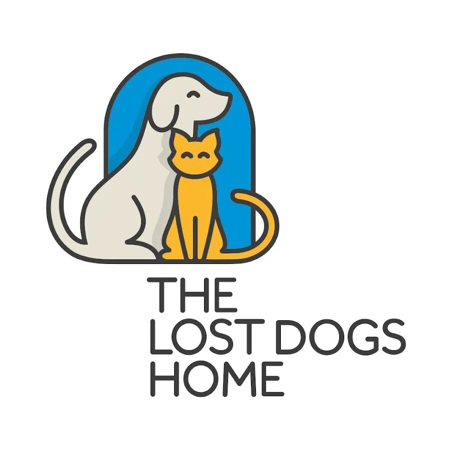 The lost dog. Символ собака на английском. Missing pet. Lost dogs 7. Lost dogs 7.