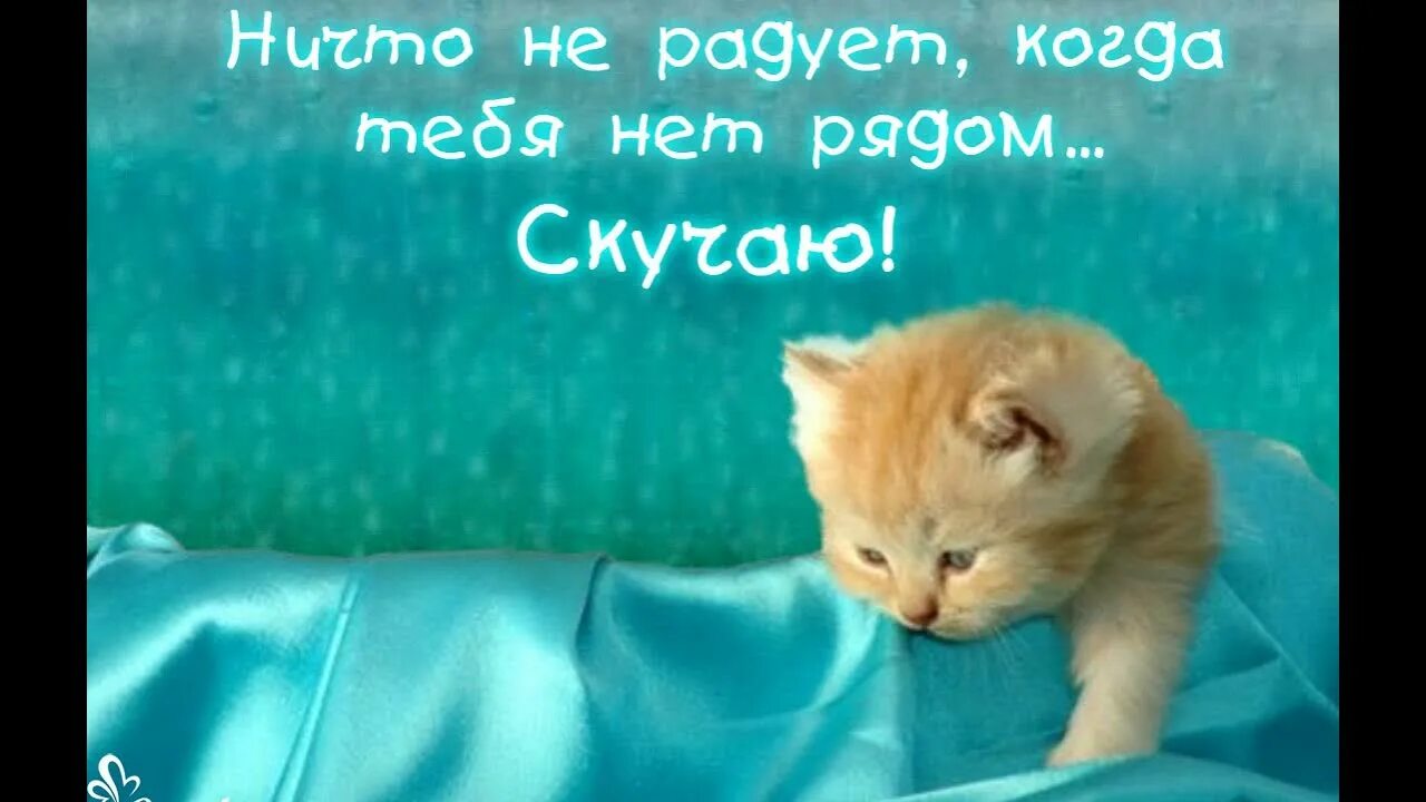А по тебе нет. Когда тебя нет рядом я скучаю. скучаю когда тебя нет рядом. я скучаю по тебе. когда тебя нет рядом картинки.