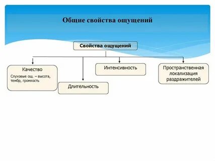 Развитие это общее свойство