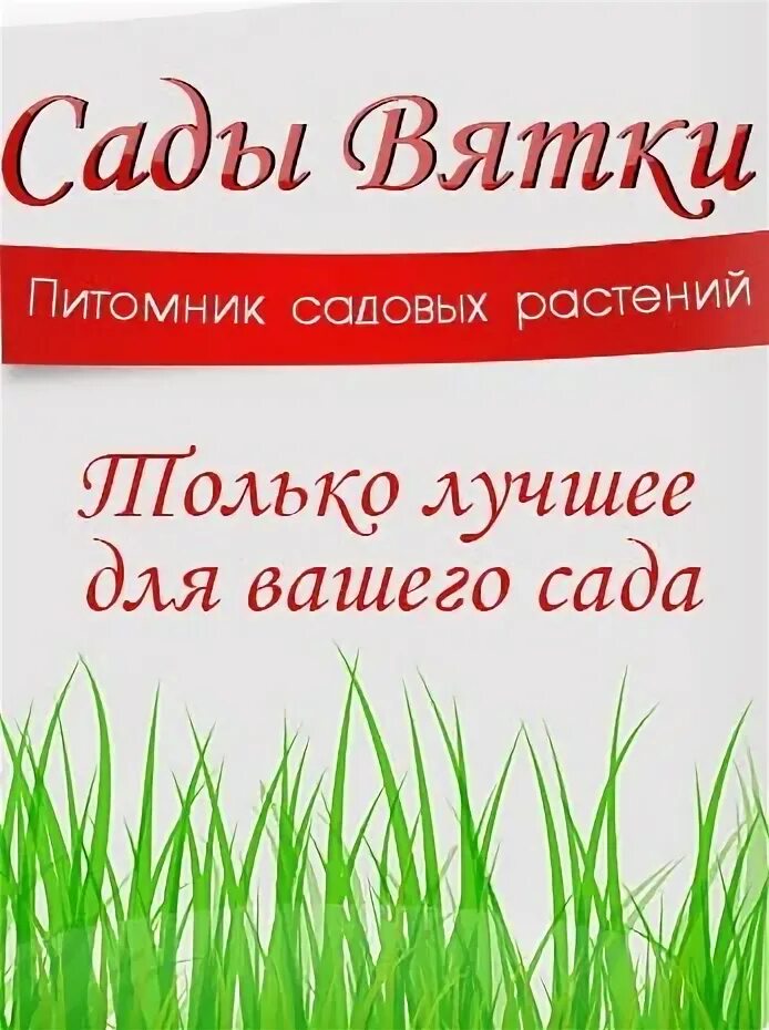 Александровский сад вятка. Вятские сады. Александровский сад аллея. Загородный сад киров. Вятские сады.