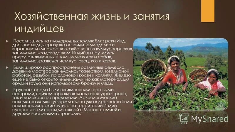 Древняя индия занятия населения. Климатические условия индии. Ремесленники в древней индии. Древняя индия река инд. Открытое занятие индия.