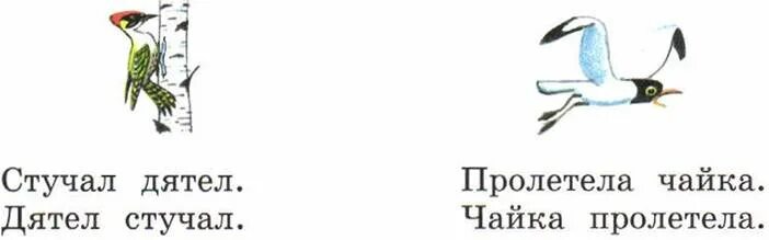 Распространенное предложение дятел стучал. Пролетела Чайка предложение. Дятел стучит предложение. Придумать предложение с стучал дятел.