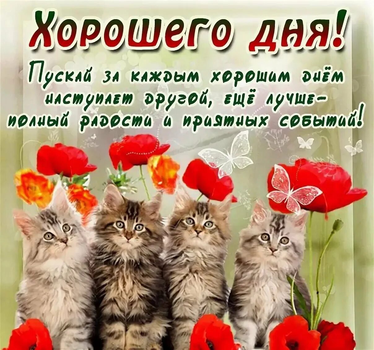Картинки с пожеланием дня и настроения. Поздравление с хорошим днем. Открытки с добрым днём прикольные. Пожелания удачного дня. Поздравление с добрым днем.