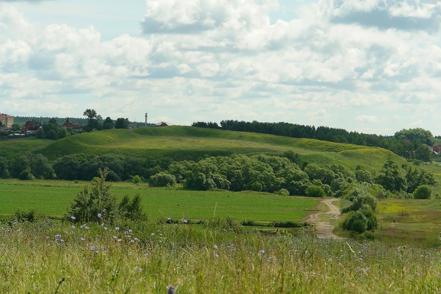 Белкрай. Кашира Веневская застава. Зарайск Кашира. Ока под Каширой сегодня.