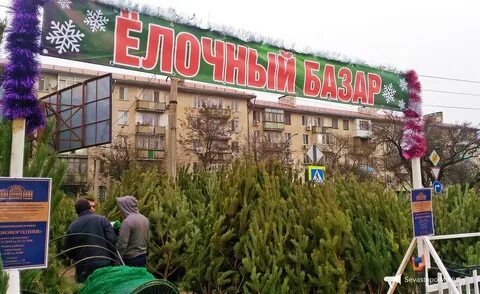 Елочный базар севастополь