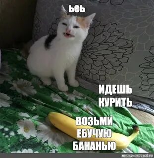 Банана кот мем