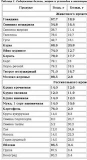 Пища в которой содержится белок