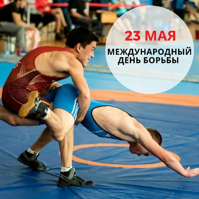 Бальжинимаев алдар вольная борьба. Абдулрашид садулаев вольная борьба. Май борьбе. День борца. Май борьбе.