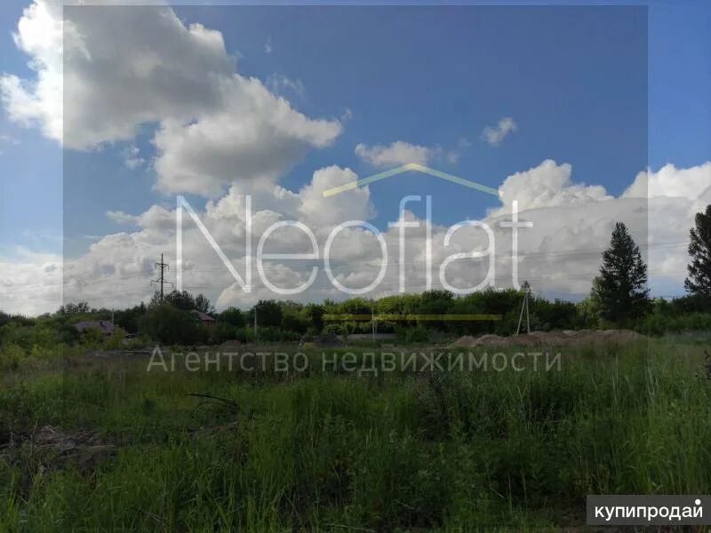 Камыши курск. Участок в г курске. Ул полевая курск. Фото участка земли зимой. Фото земельных участков под ижс.