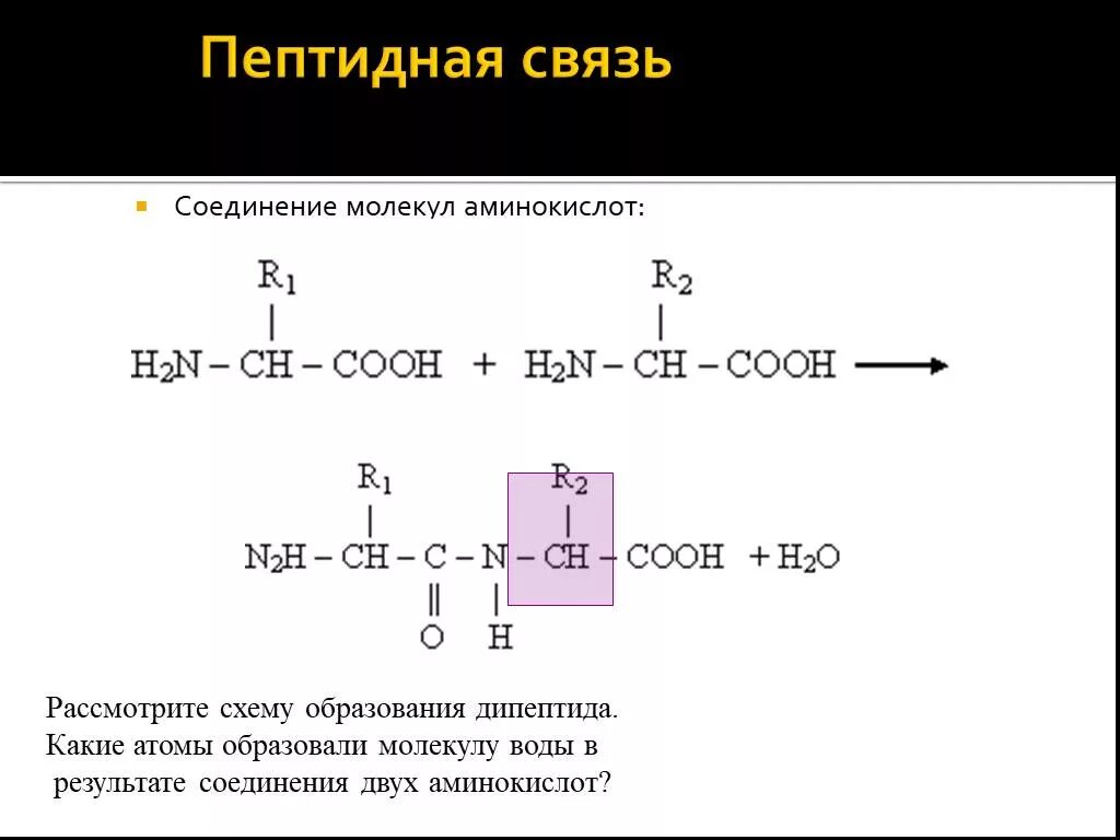 Схема образования пептидной связи. Пептидная связь аминокислот. Схема образования дипептида. Соединение аминокислот в пептид. Пептидная группа атомов