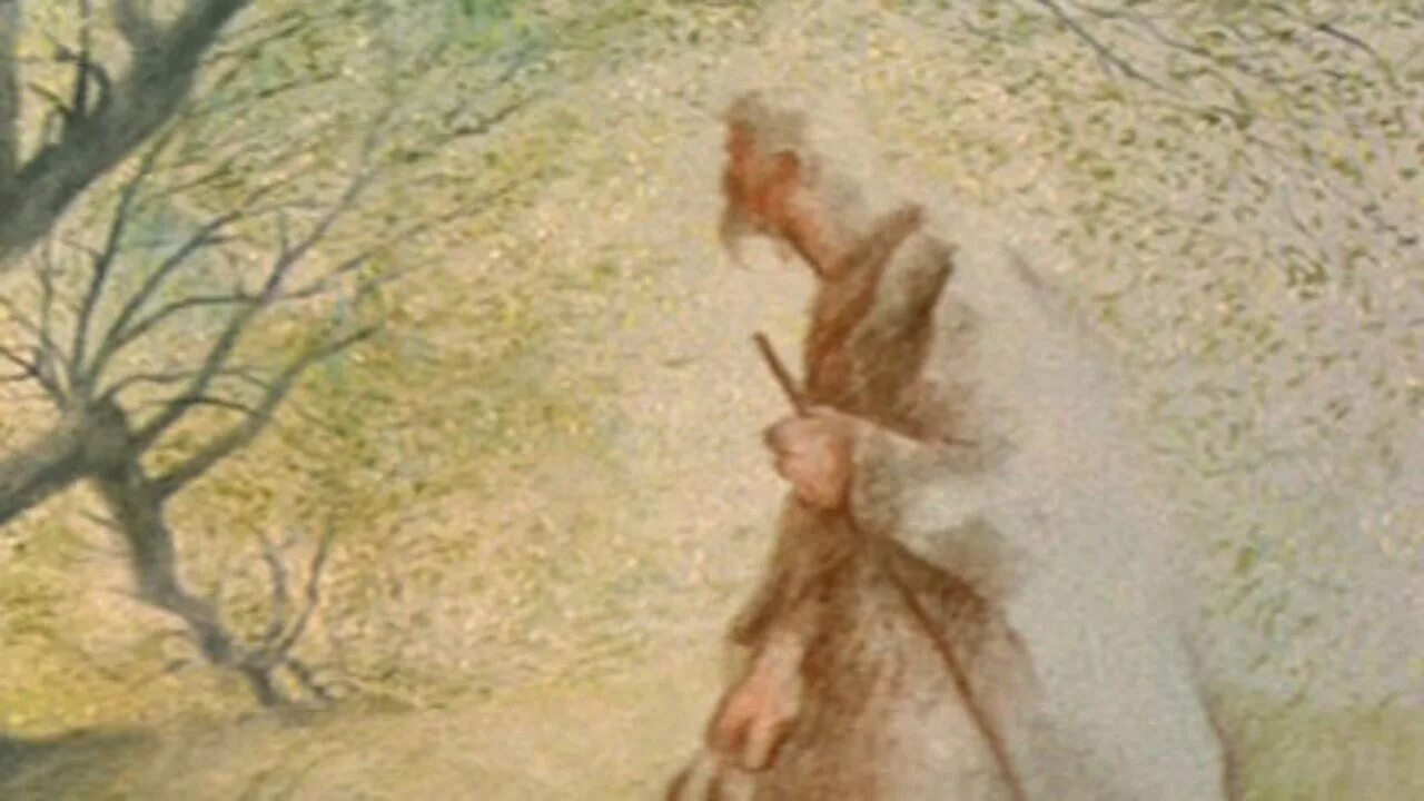 Жионо человек который сажал деревья. Люди сажают деревья. человек, который сажал деревья книга.